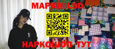 гашик Будённовск