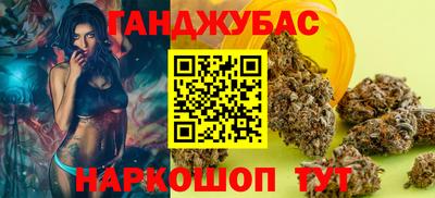 гашик Будённовск