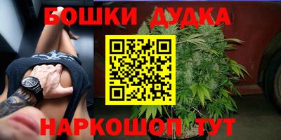 гашик Будённовск