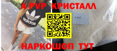 гашик Будённовск