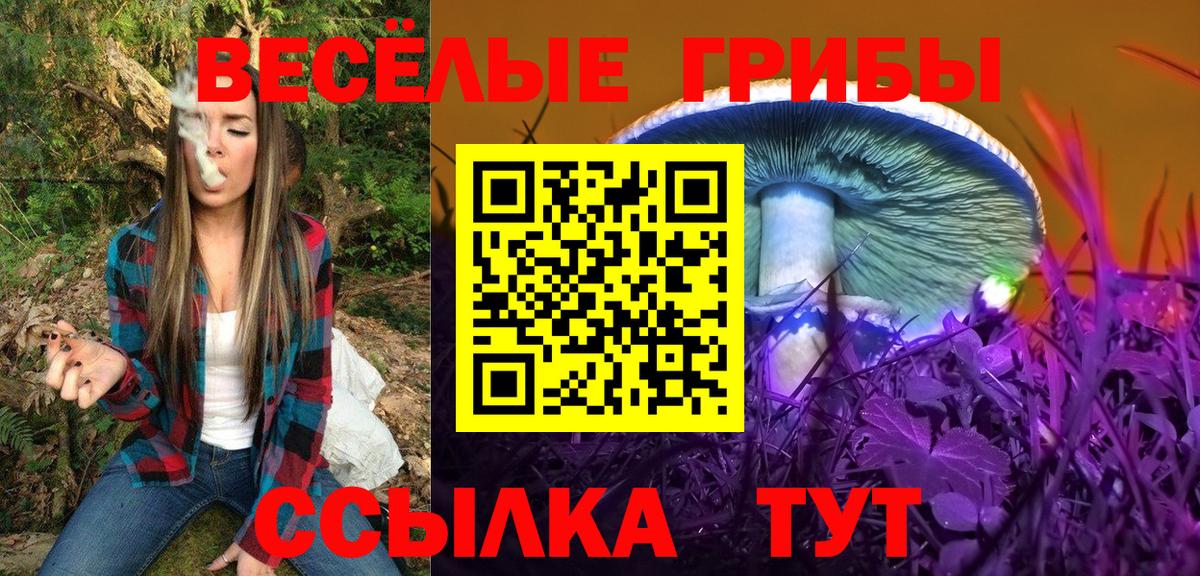 Псилоцибиновые грибы Cubensis  Вход с VPN  Красногорск 